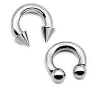 Crdifu 2Pcs PA Ring Horseshoe Circular Barbell 316L Surgical Steel Internally Threaded Piercing Body Jewelry(2-6mm)