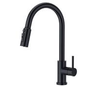 CREA 3 Way Filtered Water Tap with Pull Out Sprayer,Matte Black | 360° Swivel Single Handle Kitchen Filter Tap, Stainless Steel 3 in 1 Taps for Kitchens Sink