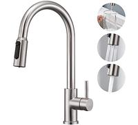 CREA 3 Way Water Filter Tap with Pull Out Sprayer, 360° Swivel Single Handle Triflow Kitchen Tap, Stainless Steel