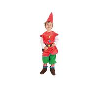 Creaciones Llopis Gnome Kids Costume Multicolor 7-9 Years Kids