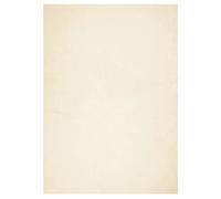 (cream, 240 x 340 cm) vidaXL Rug Short Pile Soft and Washable Floor Mat Area Rug Bedroom Carpet