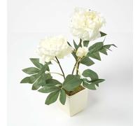 (Cream) Artificial Peonies in Decorative Pot, 48 cm Tall