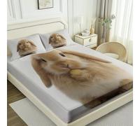 Cream Fitted Sheet Bedding Set, Scandi Adorable Rabbit Durable Microfibre for Busy Households, Quick Dry & Cosy, Double (53" x 75"), 30cm Deep Fit + 2 Pillowcases