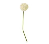 Sostter Cream Giant Allium Stem Faux Flower Arrangement Sostter Cream