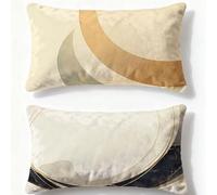 Cream Pillows 2 pack Simplicity Cushion Covers 16x28in Velvet Cushion Covers With Lnvisible Zip Rectangle Pillowcase for Autumn Home Living Room Sofa Bedroom Office Decorative Pillows for Bed Q-296U