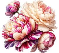 Cream Red Peony Flower Vinyl Decals, Floral Decor, Wall Stickers, Pink | Cover Marks, Opaque Finish, No White Edges, Weatherproof, UK Manufactured, 20cm 7cm, Use on Bins, Cars, Laptops and Toilets