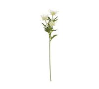 Cream Sea Holly Spray