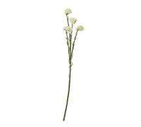 Sostter Cream Statice Faux Flower Stem Sostter Cream