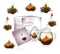 Creano Blooming Tea - Flowering Gift Set With 500 ml Glass Pot and 6 Black Tea Flowers (Black Tea)