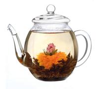 Creano Glass Teapot for Tea Flowers & Loose Leaf Tea 500ml - Elegant Heat-Resistant Borosilicate Glass with Glass Lid - Non-Drip Spout - Gift Box