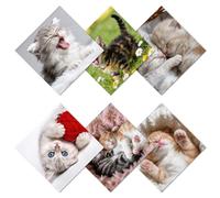 CREATCABIN 6 Pcs Cute Cats Microfiber Glasses Cleaning Cloth Reusable Thicken Sunglasses Cloth Soft Multicolor Eyeglasses Cleaner Wipes Cloth Washable for Camera Cell Phone Screens Glasses Gift 6x6in