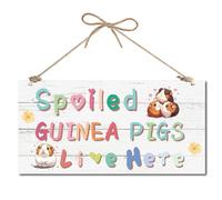 CREATCABIN Guinea Pig Hanging Sign Guinea Pigs Hanging Wall Plaque with Rope Home Decoration Plaque Rustic Vintage House Garden Kitchen Decoration Gift for Family Friends 12x6 Inch Rectangle