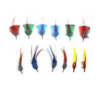 Create idea 12Pcs Hat Feathers Real Feather Decorative Feather Natural Feather DIY Accessories for DIY Making Crafts Clothing Decoration