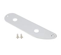 Create idea Bass Control Plate 2 Holes Compatible with CTS Potentiometers Compatible With Tele Bass