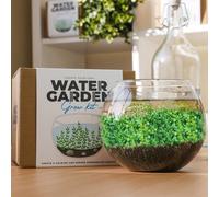 Create Your Own Water Garden Grow Kit