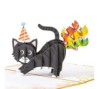 createreedo Cat Birthday Cards, cat pop up Cards pop up birthday cards for cat lovers, women, men,wife,husband,friends,kids etc.