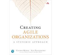 Creating Agile Organizations – A Systemic Approach