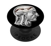 Creation of Adam Anatomy Michelangelo Art PopSockets Adhesive PopGrip