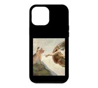 Creation Of Cat Renaissance Art Parody Fresco Case for iPhone 12 Pro Max