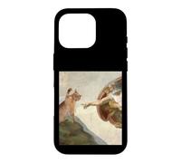 Creation Of Cat Renaissance Art Parody Fresco Case for iPhone 16 Pro