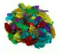 Creation Station 28 g Spotted Feathers, Assorted Colours, 28g