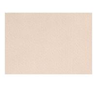 Creativ Company 10-Piece Craft Felt, Beige