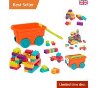 Creative 55-Piece Building Block Set with Roll-Away Storage for Toddlers