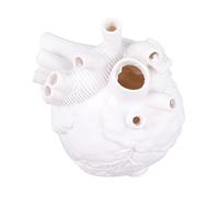 CREATIVE ANATOMICAL HEART VASES RESIN SCULPTURE HEART SHAPED ART FLOWER VASES DESKTOP HOME DECORATION LIVING ROOM (White)