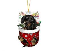 Creative and Cute Christmas Stocking Dog Pendant, Xmas Tree Ornaments and Pendants, Custom Pets in Snow Pocket Christmas Ornament, Gift for Lover Dog