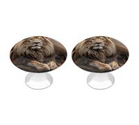Creative Animals Lion Cabinet Knobs, 2-Pack Silver Stainless Steel Drawer Pulls with Screws, Elegant Hardware for Dressers, Kitchen,Cabinets & Desks