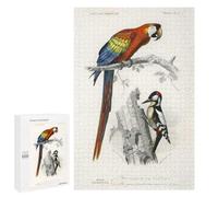 Creative Challenge - Different Types of Birds, 1000 PCS, Wooden Picture Puzzle for Grown-Ups, New Year Puzzle Gift; for Couples, Friends And Family
