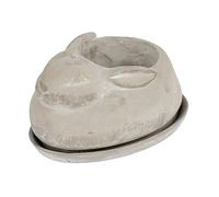 Creative Co-op Cement Rabbit Shaped Planter with Saucer