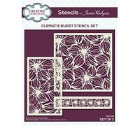 Creative Expressions Jamie Rodgers-Clematis Burst-Stencil Set, Set of 3 Transparent CEST045
