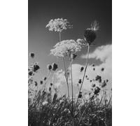 Creative Grid Journal - Graph Edition: Minimalist graph notebook for sketching, design planning, mindful organization and clear thinking