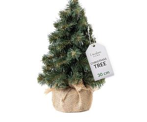 Creative Home Mini Artificial Flocked Christmas Tree with Stand | Size 30 cm | Miniature Little Xmas Tree Small Cone Branches | Realistic Decoration | Tabletop Desk Office | Indoor & Outdoor