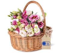 Creative Home Small Wicker Shopping Basket with Handle | 30 x 35 x 30 cm (+/- 1 cm) | Christmas Xmas Lightweight Durable Basket Fruit Basket | Natural Brown