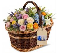 Creative Home Wicker Basket with Handle