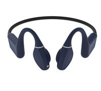 Creative Outlier Free Pro+ Wireless Sport Headphones Purple