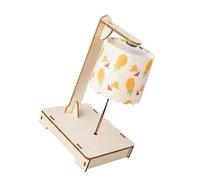 Creative Levitating Desk Light Set with Wood Frame and Hands on Activity Learning Materials Suitable for Kids Levitation Science Experiment Set