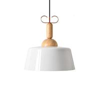 Creative Metal Hanging Lights Elegant Scandinavian Chaner Nordic Style Color Pendant Light Living Room Pastoral Ceiling Lighting Fixture for for Kitchen, Bedroom, Dining Room, Restaurant