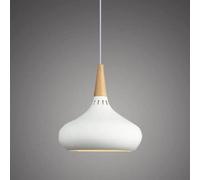 Creative Personality Colored Metal Fixtures,Nordic Industrial Style Hanging Light,E27 Base Single Head Pendant Lamp, Restaurant,bar,Decorative Suspension Light (White 20cm)