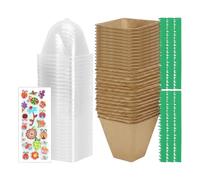 Creative Potted Plants Kit for Children - Artistic Gardening Set 30 Paper Pots | DIY Growth Activity Children 5-12 Years | Back to School Birthday Gift with Fence Stickers