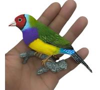 Creative Resin Bird Fridge Magnet, Realistic Bird Refrigerator Magnet Travel Souvenir Decorative Magnetic Fridge Sticker for Kitchen Office Whiteboard Birds Lover Gift (Gouldian Finch)