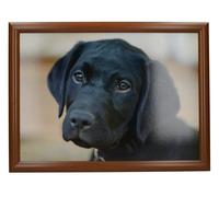 Creative Tops Black Labrador Design Cushioned Bean Bag Laptray 44 x 34 cm