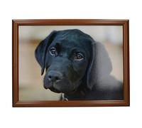 Creative Tops Labrador Printed Laptray, Multicolor, 44 x 34 cm