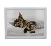 Creative Tops Laptray - Sleeping Kitten