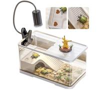 Creative Turtle Tank Aquarium, Tortoise Aquarium with Basking Platform,Basking Lamp and Plants, Reptile Tank, Aquatic Tortoise Aquarium Reptile Habitat,55x30x29.4cm
