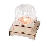 Creative Wooden Pumpkin Lamp Set with LED Light and Disjunctor for Children Hands on Learning and Science Experiment Creative Wooden Pumpkin Lamp Set