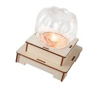 Creative Wooden Pumpkin Lamp Set with LED Light and Disjunctor for Children Hands on Learning and Science Experiment Children ' s Physics Learning Toy