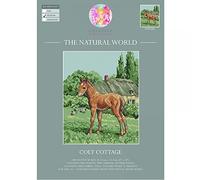 Creative World of Crafts The Natural World Cross Stitch Kits - Colt Cottage,Multi-colour,34 x 22 x 1 cm
